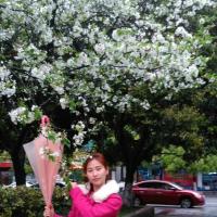 /photo/806599/请问/psb (2)_1_2_small.jpg